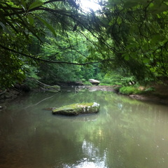 Clifty Wilderness